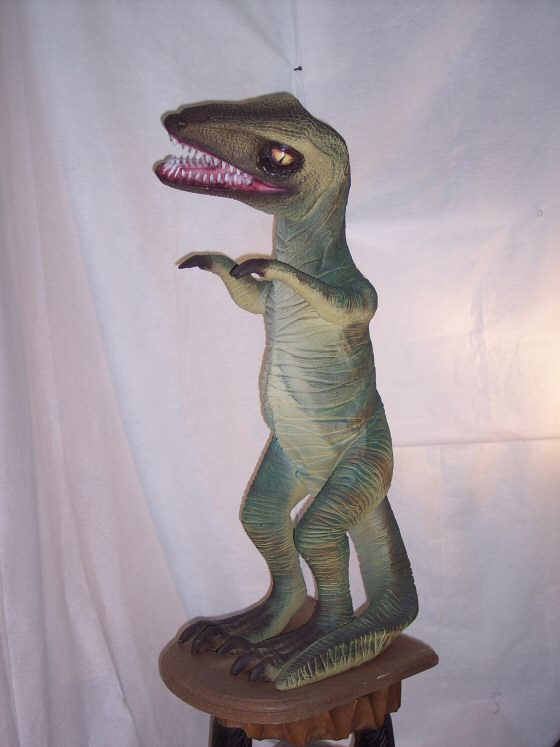 Baby Raptor