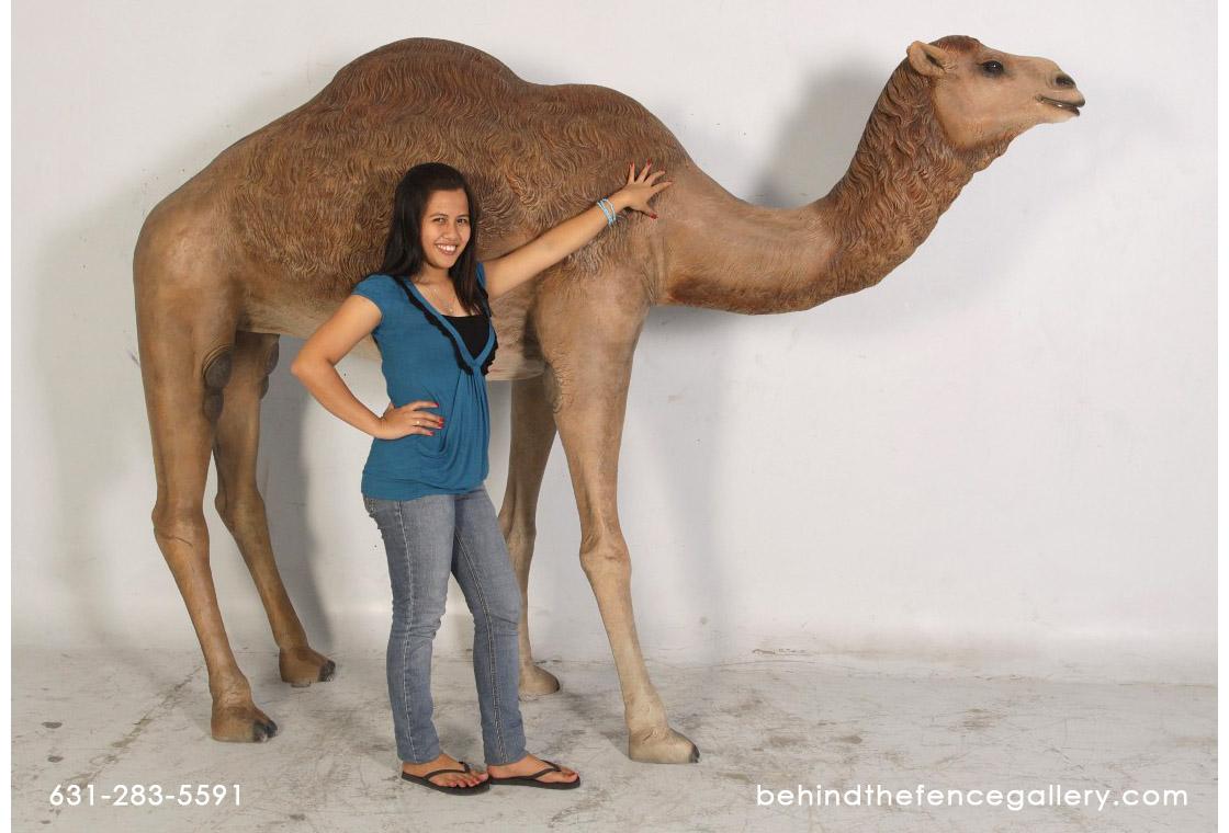 Camel Statue (Life Size) - Click Image to Close