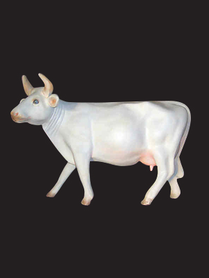 Little Cow Statue (with or without Horns) - Click Image to Close