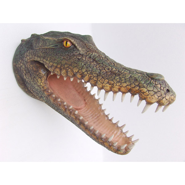 Crocodile Head