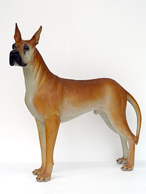Life Size Great Dane Dog - Click Image to Close