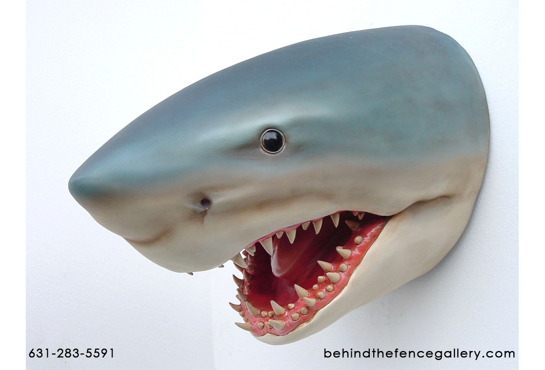 Great White Shark Head Wall Mount Display - Click Image to Close