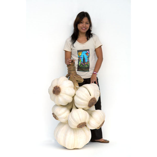 Garlic