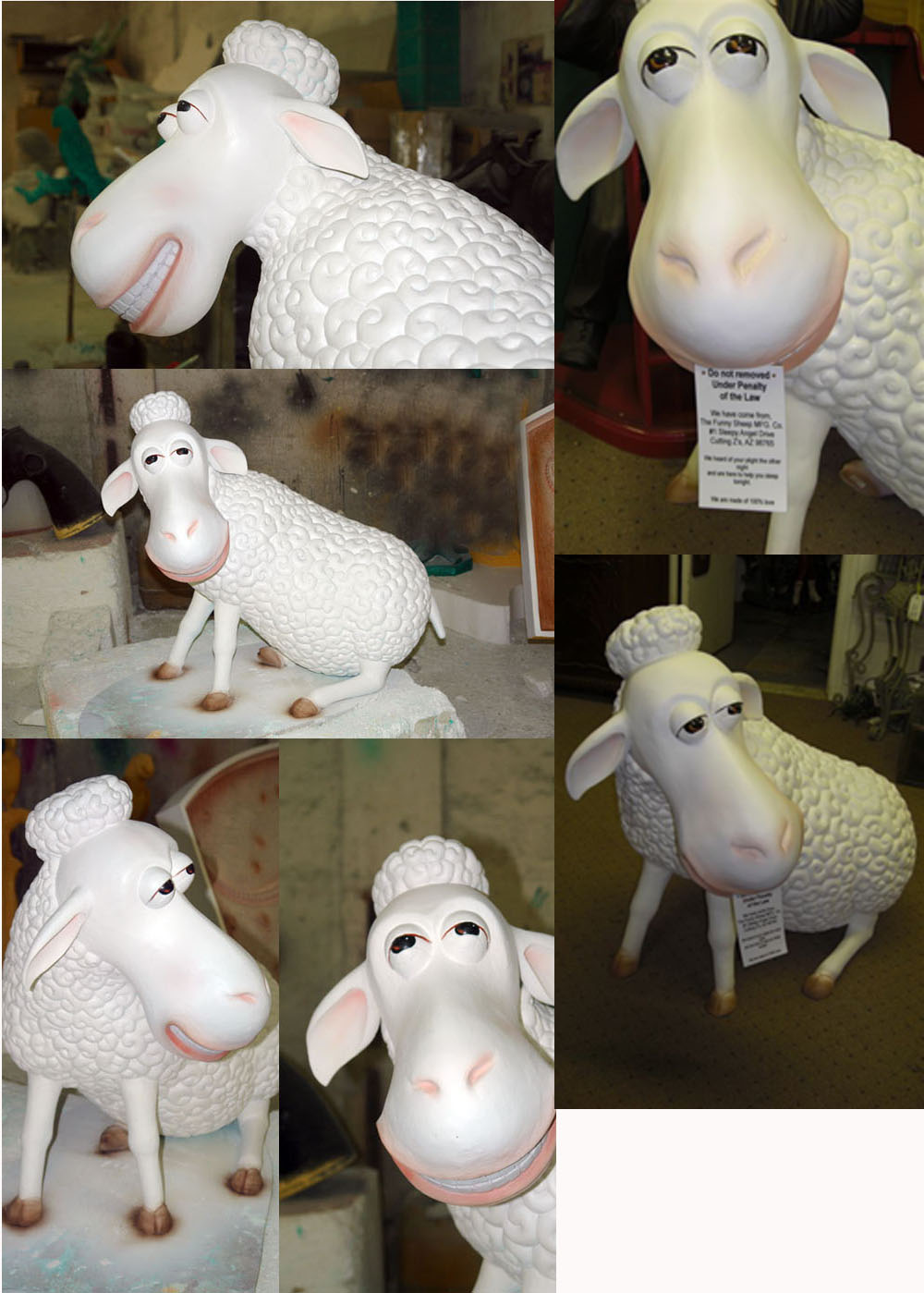 Sitting Counting Sheep