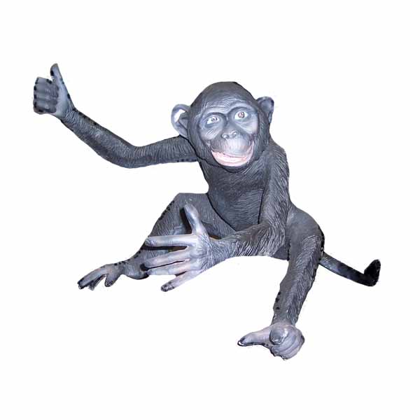Large Monkey