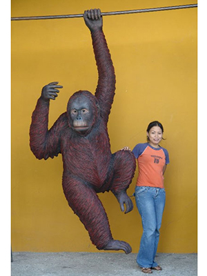 Orangutan Hanging - Click Image to Close