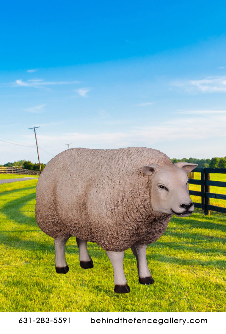 Sheep Statue with Head Up Texelaar Ewe