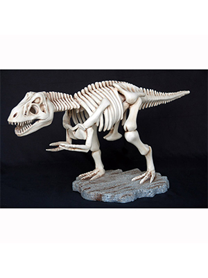 T-Rex Skeleton (Small) - Click Image to Close