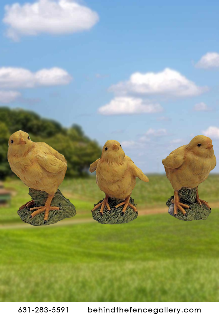 Cheeping Chicks (Sold Individually)