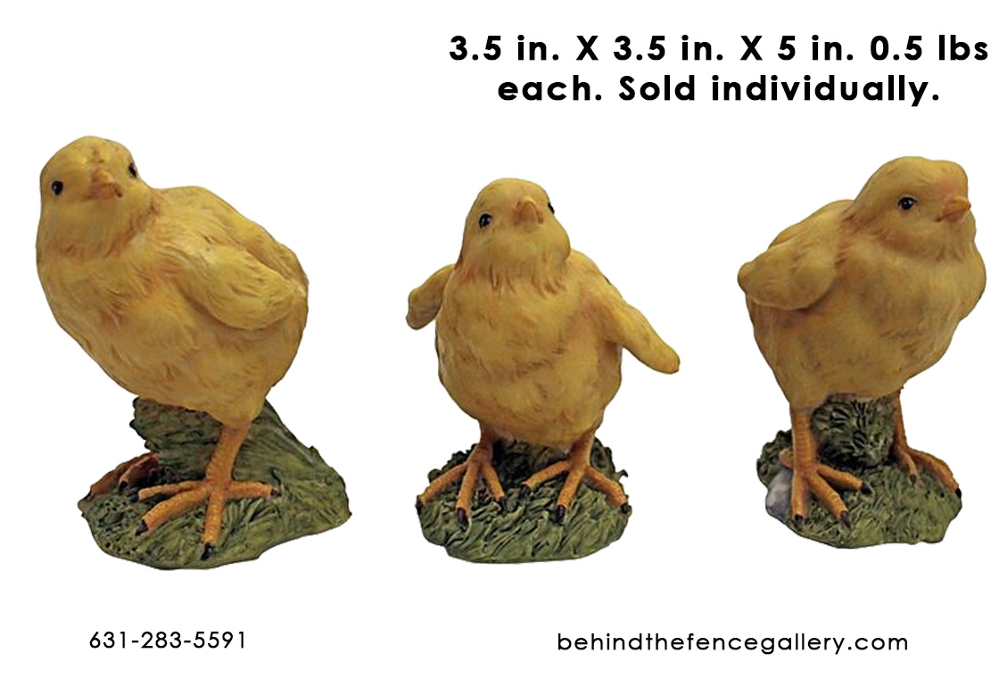 Cheeping Chicks (Sold Individually)