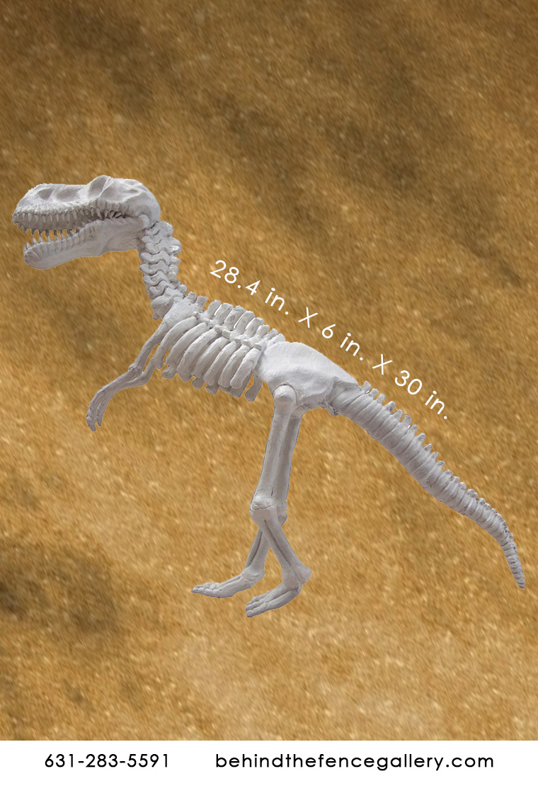 Dino Skeleton Statue