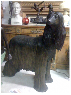 Bronze Afghan Dog