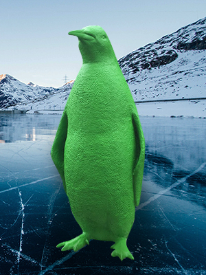 Custom King Penguin