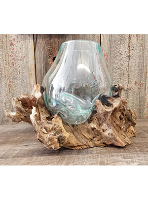 Driftwood with Slumped Glass Bowl