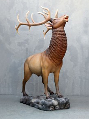 Elk in natural colors