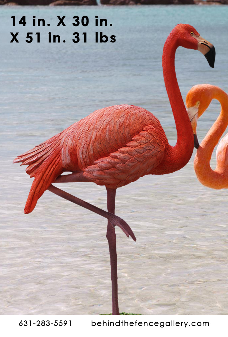Flamingo on Base