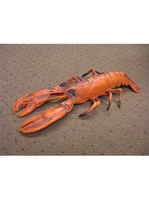 Life-size Lobster Statue