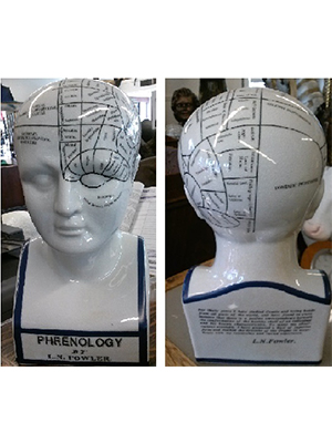 Phrenology Head Statue (small)