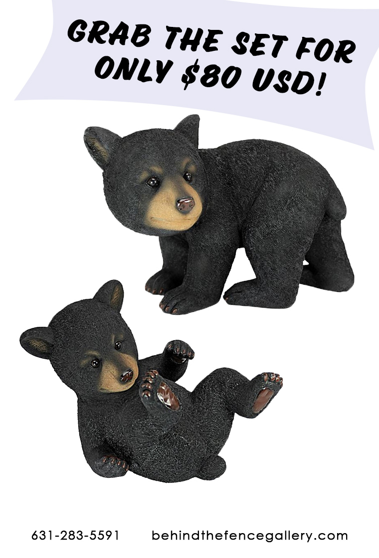 Shy Bear Cub